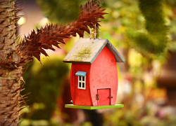 У кого из анапчан могут изъять жилье, как "депрессивное"