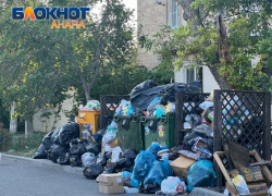 «Жители платят за вывоз мусора и вправе рассчитывать на чистоту и порядок» – Вениамин Кондратьев