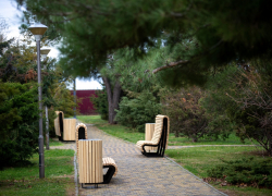 Анапчане составили обращение к Владимиру Путину против сноса забора у Ореховой рощи