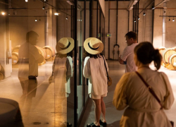 Винодельня «Скалистый берег» становится доступной для экскурсий