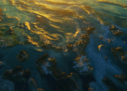 В Краснодарском крае произошло землетрясение 