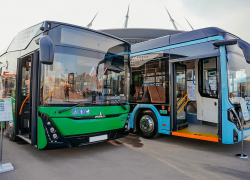 На дорогах Анапы появятся 300 новых автобусов