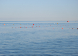 В День семьи, любви и верности температура в Анапе снизится