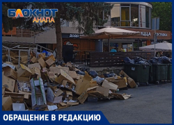 Свалка в самом центре в разгар сезона и отсутствие ответа «Экотехпрома» - анапчане о ситуации с мусором 