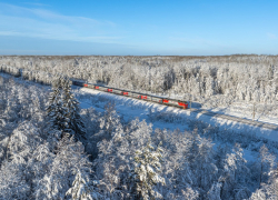Жители Краснодарского края теперь могут в гости к Деду Морозу 