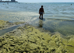 Выброс камки засняли очевидцы на пляже в Анапе