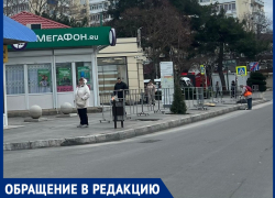  На Красноармейской несколько месяцев зияют ямы под саженцы, а на Высоком берегу опять сухие деревья