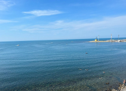 В Российский день леса в Анапе будет не очень солнечно