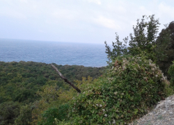 В день расслабленности и беззаботности в Анапе ясно