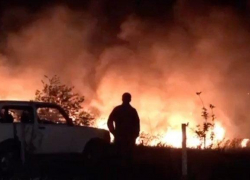 В Витязево под Анапой снова подожгли плавни