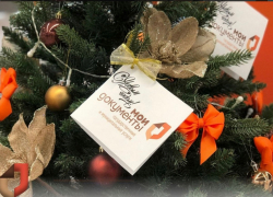 Офис МФЦ в Анапе изменит график работы в новогодние праздники