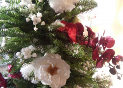 Кто из анапчан хочет быть богатым: украшаем ёлки по фэншуй