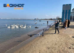 «Никакая заграница этим не похвастается»: в Анапе только солнце и тепло 