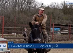 Ветераны СВО из Анапы проходят лечебные конные прогулки в Сукко