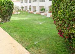 Красивые газоны могут обойтись бюджету Анапы в 2 миллиона рублей