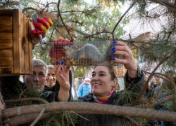 В сквере Гудовича Анапы поселили новых пушистых жителей - белок