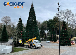 Хоровод из елок и звездное небо: на Театральной площади установили 6 зеленых красавиц