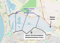 Почти все анапские плавни сгорели дотла: что делать, чтобы пожар не повторился