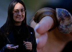 «Доение» улиток и агротуризм: все об эко-ферме в Анапе