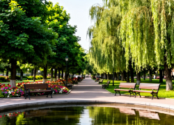 В Анапе начали принимать предложения по благоустройству общественных территорий