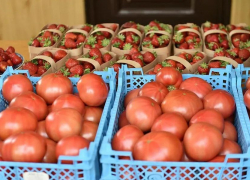 В магазинах Анапы появятся «фермерские островки»