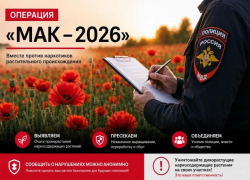 В Анапе стартовал первый этап операции «Мак – 2026»: полиция ищет наркосодержащие растения