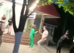  За насилие в отношении анапского полицейского житель Подмосковья может сесть на 5 лет