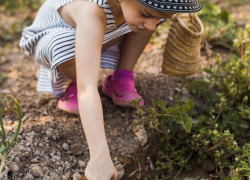  Грозит ли анапским садоводам новый "налог на огород"?