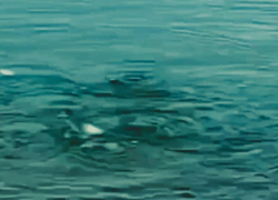 В акватории близ Анапы извергается вулкан – Росприроднадзор