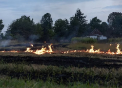 Усиление противопожарных мер: в Анапе обсудили планы по обеспечению безопасности в весенне-летний период