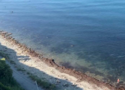 На пляж 40 лет Победы штормом принесло красные водоросли