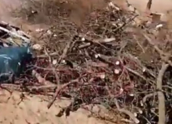 Это не свалка вовсе, а уборка территории – считают в мэрии по поводу пляжа возле санатория «Вита»