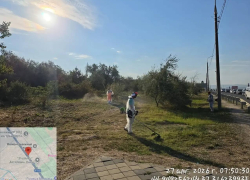 Жителям Анапы напомнили об ответственности за заросшие территории