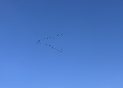 Гороскоп для анапчан на неделю: с 18 по 24 марта