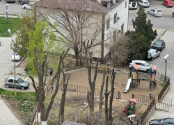 Коммунальщики Анапы будут спиливать сухие и аварийные деревья