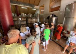 Праздник урожая прошёл в "Винной деревне" под Анапой