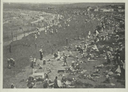 В Анапе была улица Ататюрка. Да, это не шутка