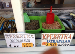 Рыба в Анапе кусается