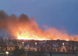 В селе Витязево под Анапой горит лиман. Это фейк или правда?