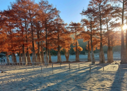 Сломанный отдыхающими забор на Кипарисовом озере восстановили