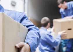  Анапчанам предложили обслужить интересы «Демократии»