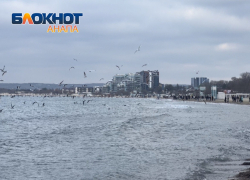 Наша очередь прятаться: В День игры в прятки с зимой в Анапе дождь со снегом