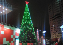 Москвичка оказалась неприятно удивлена ёлкой в Анапе 