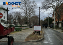 Срубили все деревья: в Анапе на улице Терской появится новая аллея