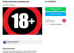 Курортный собутыльник на час. Анапе пора открывать новую сезонную нишу?
