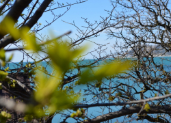 Гороскоп для анапчан с 26 сентября по 2 октября: Девам удастся многого добиться