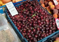  «Халявы нет»: на рынке Анапы ввели плату за «попробовать черешню»