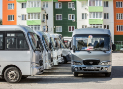 В Анапе могут создать единый инфочат для водителей автобусов 