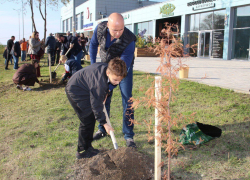 В Анапе высадили кипарисовую аллею вдоль реки 