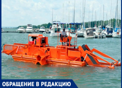 Анапе не новая Набережная нужна, а оборудование для очистки моря, - считает горожанин